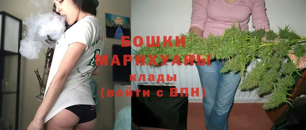 сатива Надым