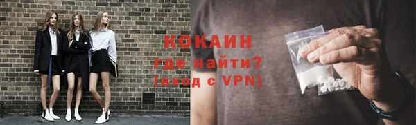 сатива Надым