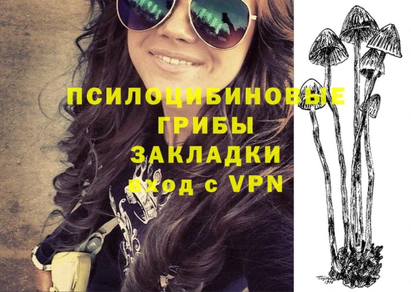 молекула духа Наволоки