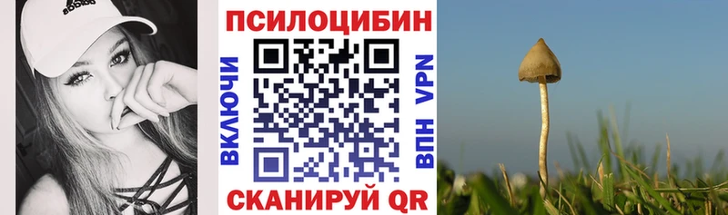 Псилоцибиновые грибы ЛСД  Купить где  Алексеевка 